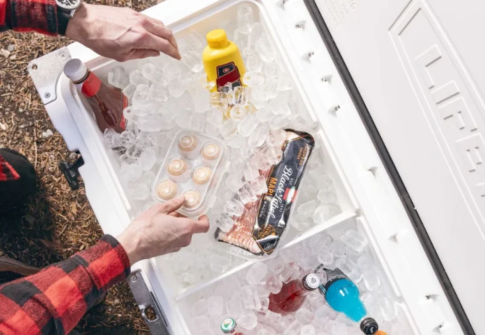 portable cool box fridge