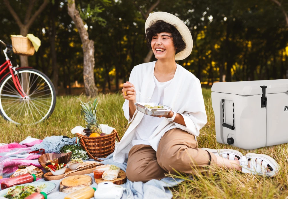 portable cool box fridge