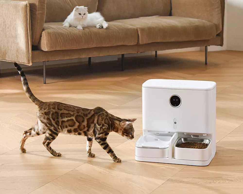 pet automatic food dispenser