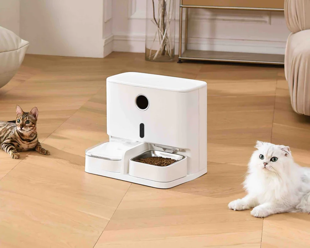 automatic cat feeder with camera