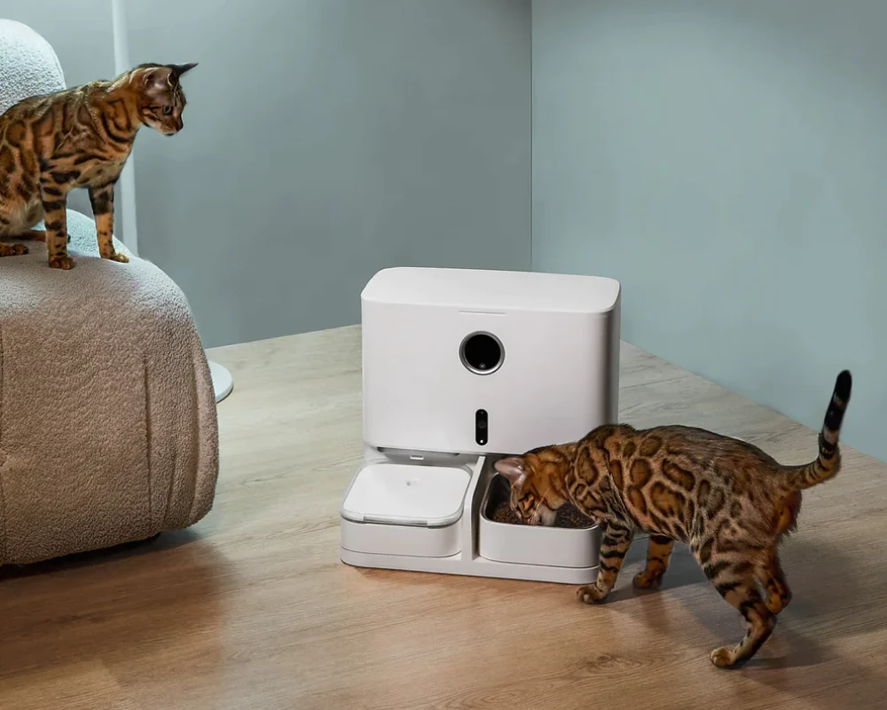 top pets automatic pet feeder