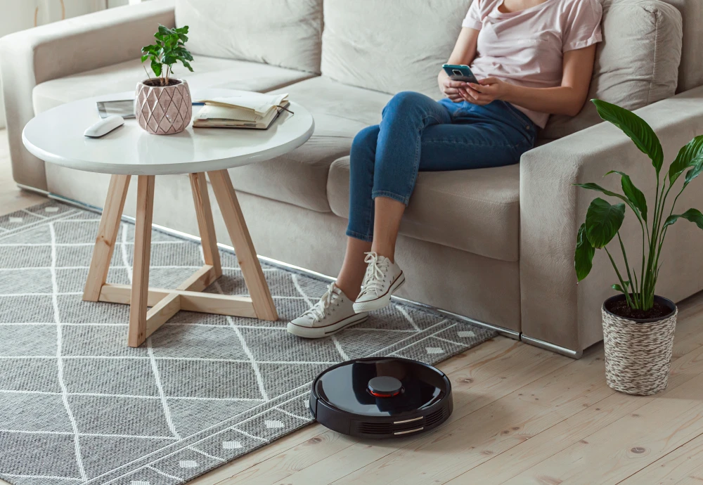 robot vacuum cleaner for small apartment