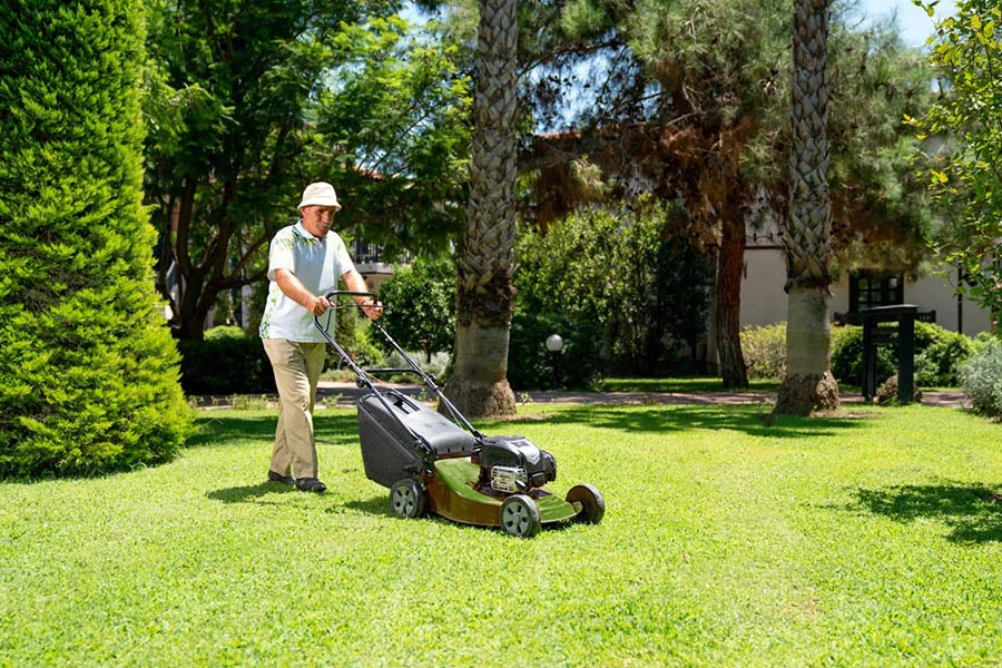 self propelled electric lawnmower